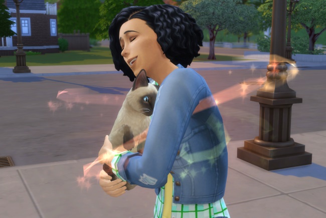 Les Sims 4 Chiens Et Chats Adopter Un Animal Daily Sims