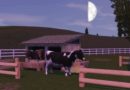 Les Sims 3 : l’Enclos à vaches !