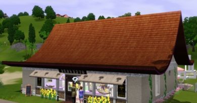 Les Sims 3 : Astuces pour bien gérer sa Boulangerie Délicieuse gourmandise !